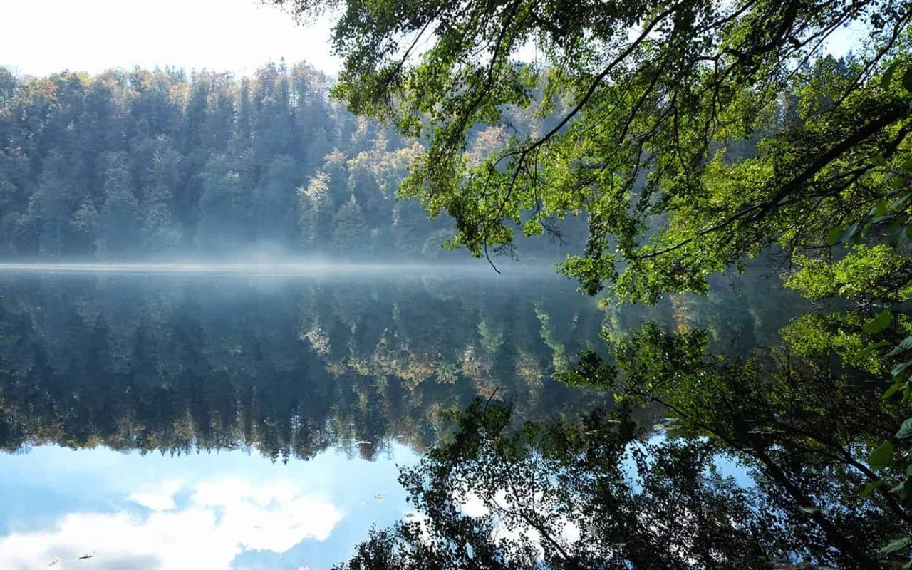 Ferienwohnung In Der Vulkaneifel "Opp Der Holl" Brockscheid Kültér fotó