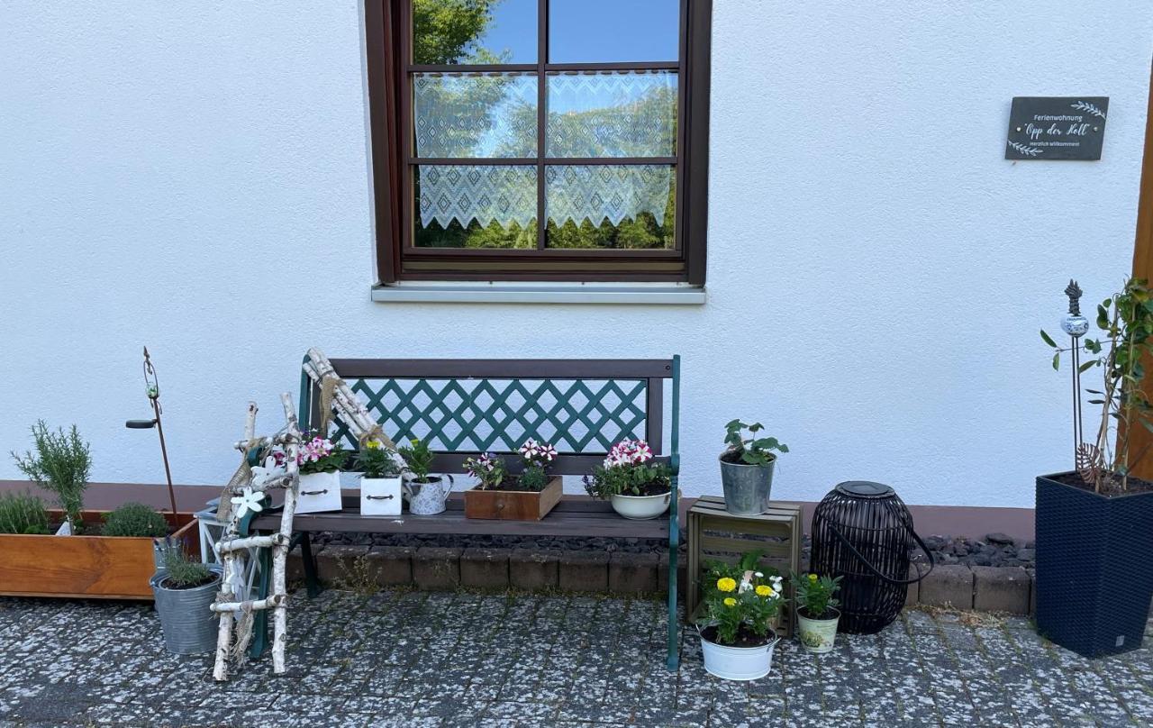 Ferienwohnung In Der Vulkaneifel "Opp Der Holl" Brockscheid Kültér fotó
