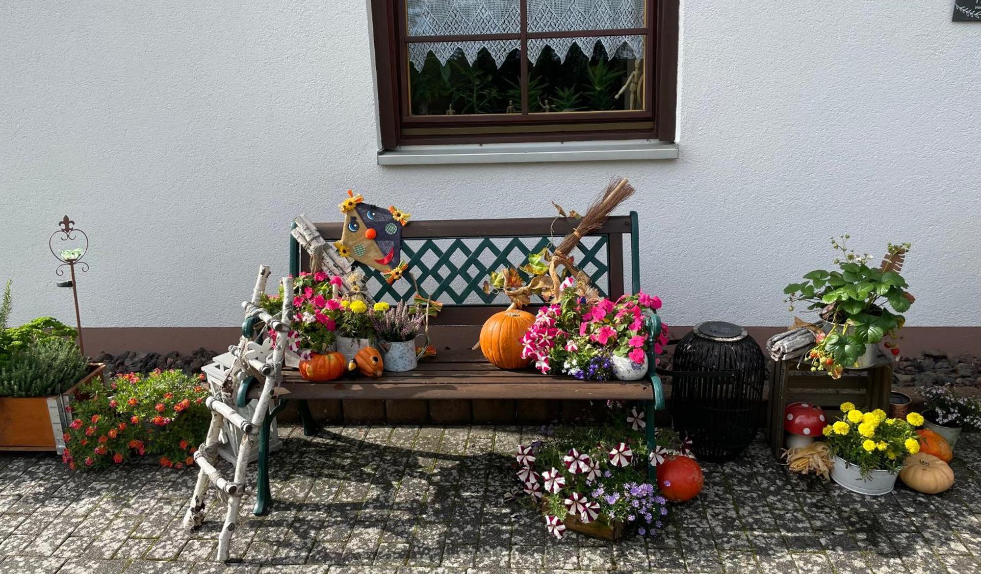 Ferienwohnung In Der Vulkaneifel "Opp Der Holl" Brockscheid Kültér fotó