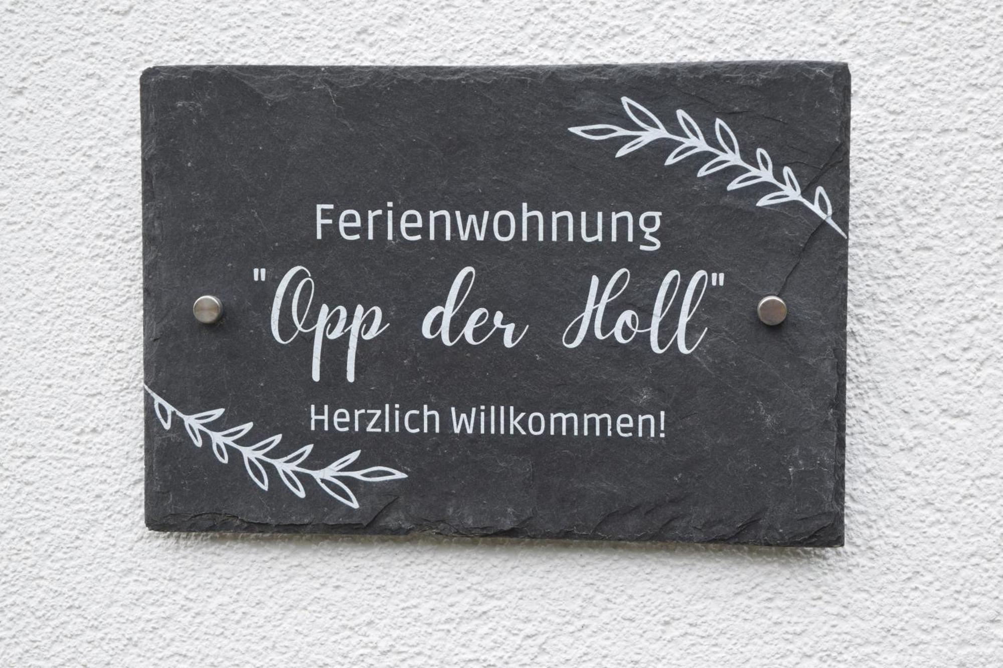 Ferienwohnung In Der Vulkaneifel "Opp Der Holl" Brockscheid Kültér fotó