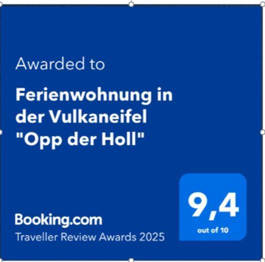 Ferienwohnung In Der Vulkaneifel "Opp Der Holl" Brockscheid Kültér fotó
